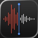 Voice Memos (Apple) logo